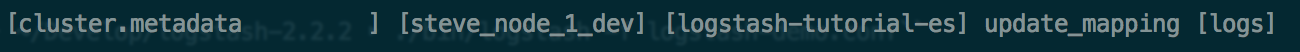 _images/elasticconsolelog.png